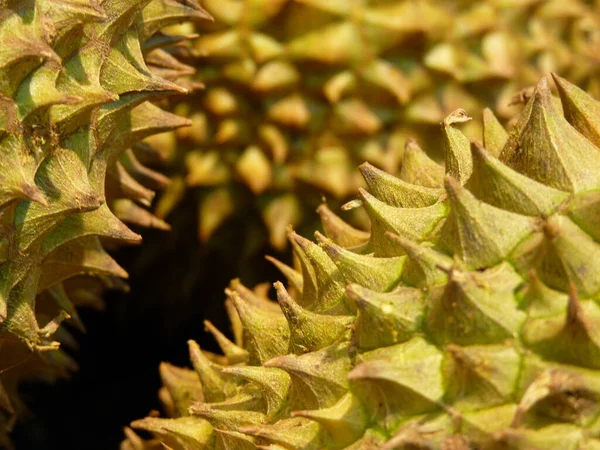 Zbliżenie Ujęcia Świeżych Owoców Duriana Rynku — Zdjęcie stockowe