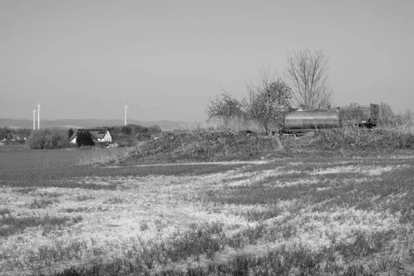 Strzał Skali Szarości Dużego Pola Pokrytego Trawą Otoczonego Drzewami — Zdjęcie stockowe