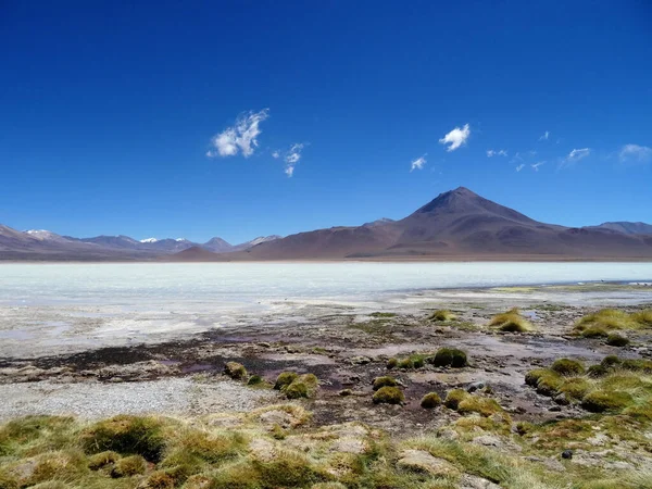 Ein Schöner Blick Auf Die Laguna Blanca Departamento Potosi Bolivien — Stockfoto