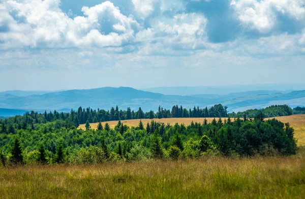 Eine Schöne Landschaftsaufnahme Eines Feldes Den Bergen Von Calimani Einem — Stockfoto