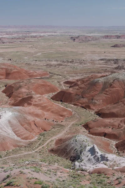 Eine Vertikale Aufnahme Des Petrified Forest Nationalparks Den Usa — Stockfoto