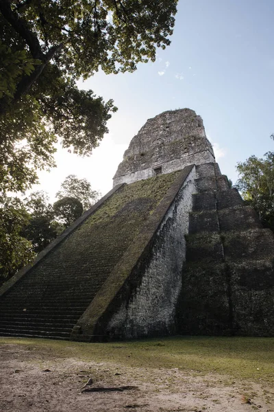 Egy Függőleges Felvétel Tikal Templomról Tikalban Guatemalában — Stock Fotó