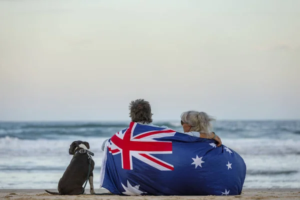 Vacker Bild Ett Par Stranden Med Blå Engelska Stafford Hund — Stockfoto