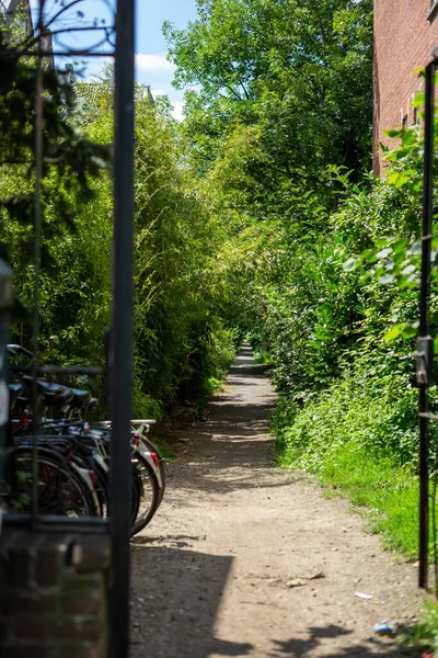 Amsterdam Yeşil Ağaçlarla Çevrili Küçük Bir Dar Sokağın Dikey Çekimi — Stok fotoğraf