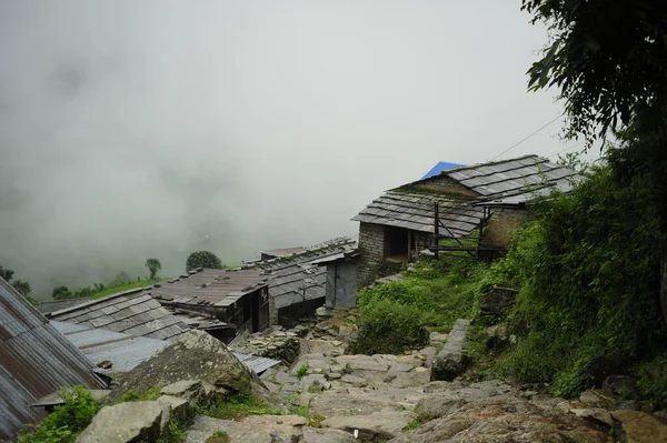 Primer Plano Casas Madera Cubiertas Niebla Los Bosques Vibrantes Nepal — Foto de Stock