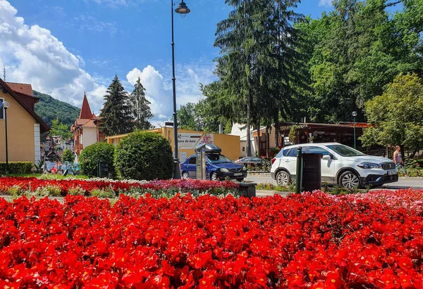 Sovata Rumunsko Července 2020 Krajina Letovisku Sovata — Stock fotografie