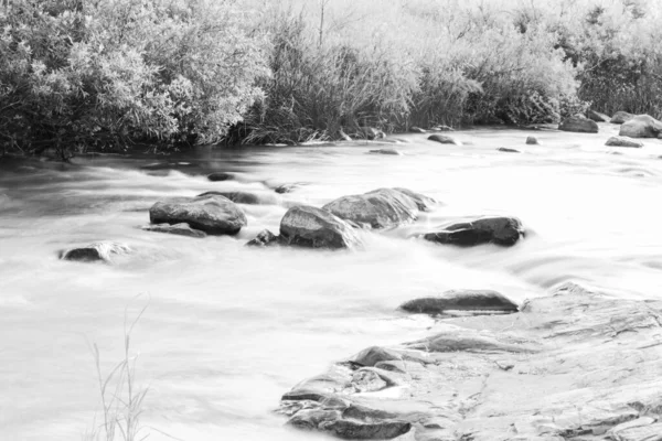 Šedivý Záběr Vodní Potok Parku — Stock fotografie