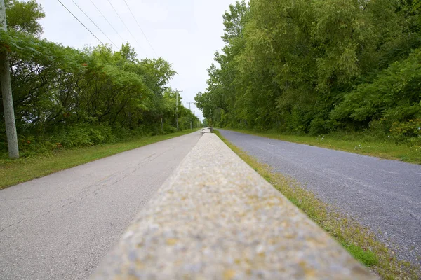 Uma Bela Paisagem Caminho Cercado Por Árvores Verdes Montreal — Fotografia de Stock