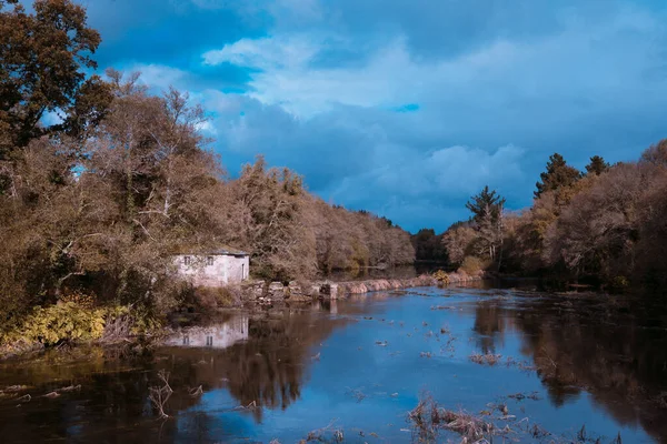 水の中の木々や反射の間の川のほとりに家の美しいショット — ストック写真