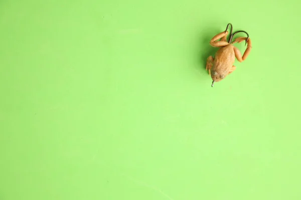 Plan Grand Angle Hameçon Forme Grenouille Isolé Sur Une Surface — Photo