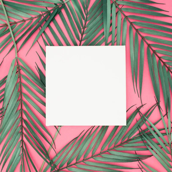 분홍색 배경에는 초록빛 야자나무 잎으로 클로즈업 사진과 공간이 사각형 — 스톡 사진
