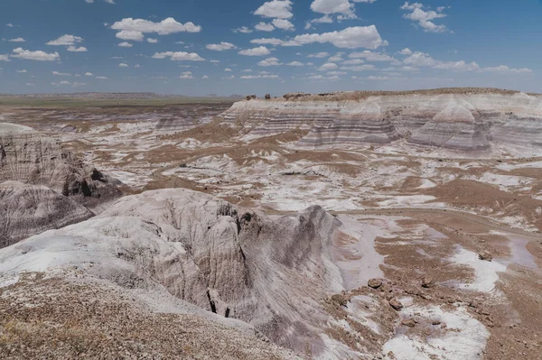 Egy Gyönyörű Felvétel Petrified Forest National Park Adamana Usa — Stock Fotó