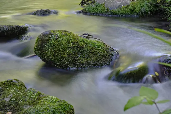 Ein Fluss Mit Steinen Der Natur — Stockfoto