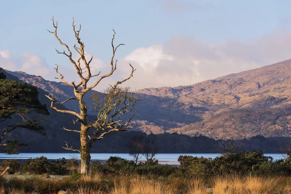 Een Prachtig Shot Van Het Killarney National Park Met Het — Stockfoto