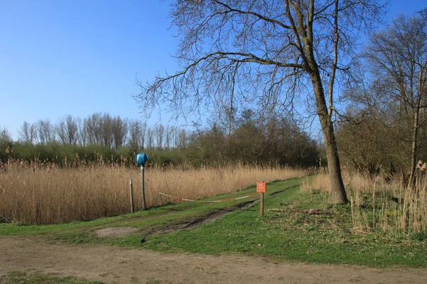 Path Forest Closed Barrier Made Two Poles Chain — Stock Photo, Image