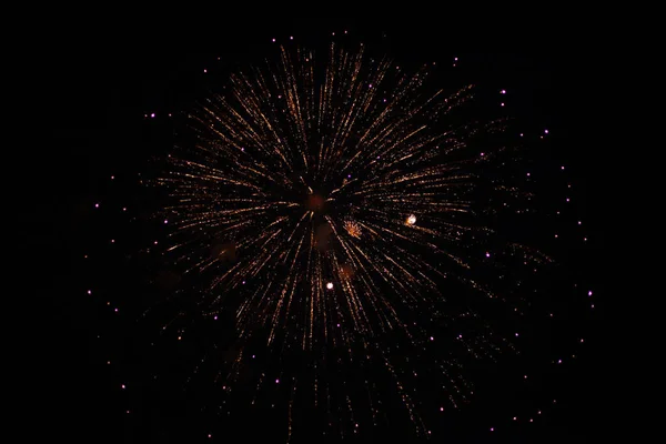 Low Angle Shot Beautiful Fireworks Shining Night Sky — Stock Photo, Image