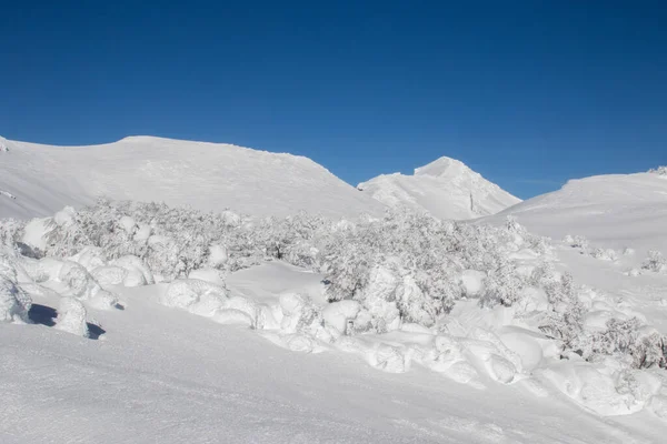 Ett Bergstopp Täckt Med Snö Vintern — Stockfoto