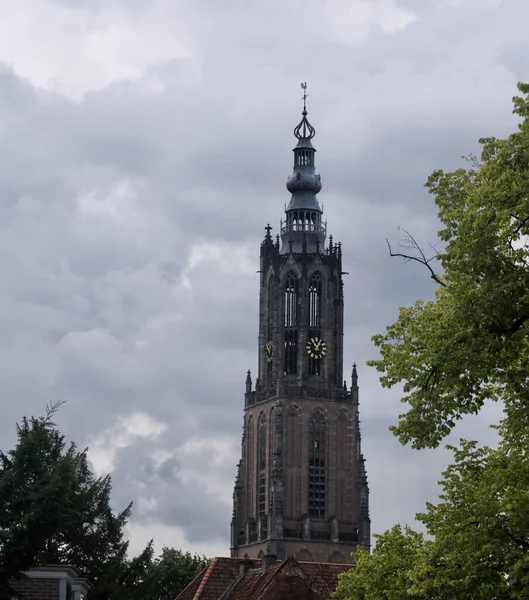 Hollanda Amersfoort Taki Martini Kilisesi Martini Kulesi Nin Kasvetli Havalarda — Stok fotoğraf