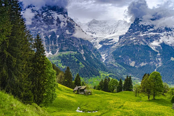 画像はスイスのグリンデルヴァルトの町の地域の山の谷の景色を示しています — ストック写真