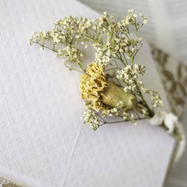 Zbliżenie Suszonych Kwiatów Białej Książce Zamazanym Tłem — Zdjęcie stockowe