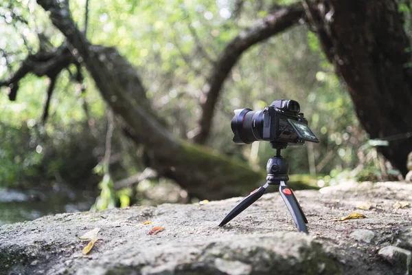 Uma Foto Seletiva Rio Majaceite Com Uma Câmera Fotográfica Primeiro — Fotografia de Stock