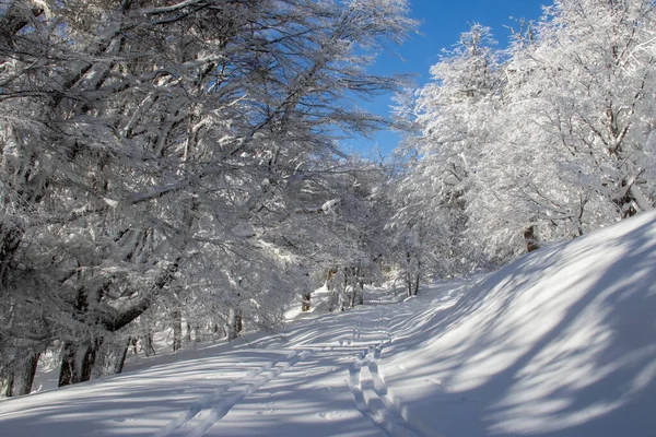 Горная Вершина Покрытая Чистым Белым Снегом Следами — стоковое фото