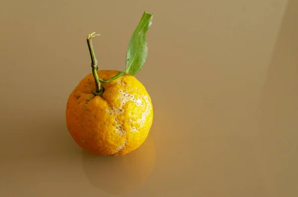 Tiro Close Uma Laranja Uma Superfície Marrom — Fotografia de Stock