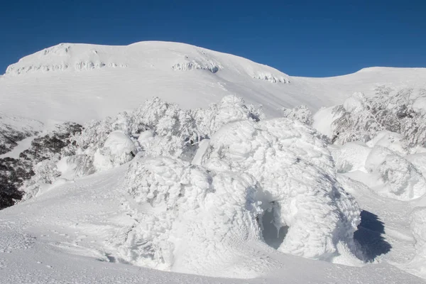 冬雪覆盖的山顶 — 图库照片