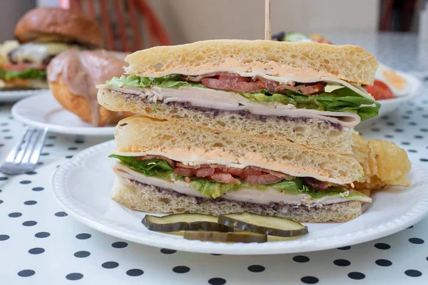 Closeup Double Sandwich Ham Vegetables Lettuce Cheese Plate — Stock Photo, Image
