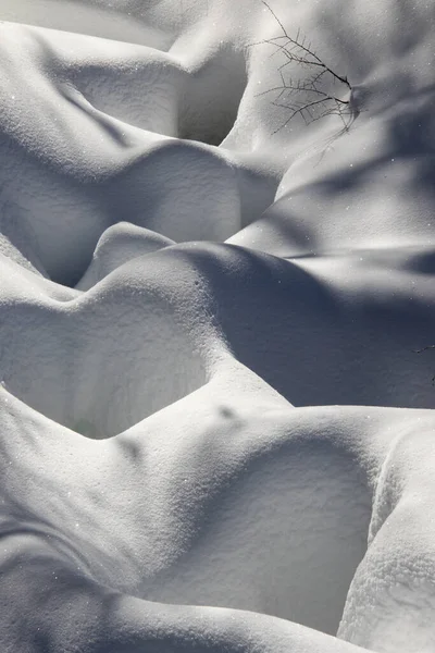 Vertikal Skott Gren Som Växer Genom Den Vita Snön — Stockfoto