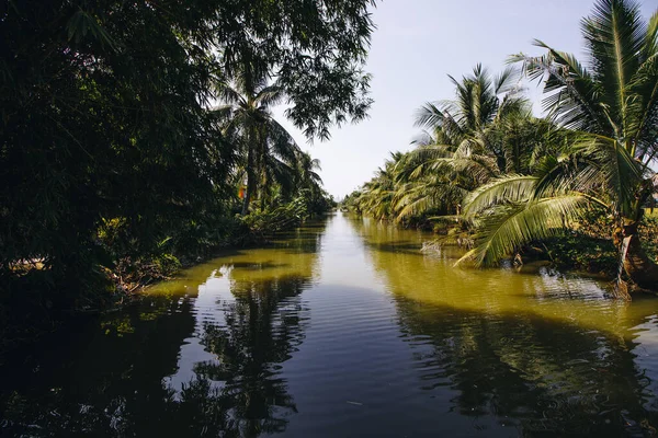 Řeka Lemovaná Palmami Long Vietnam Slunečného Dne — Stock fotografie