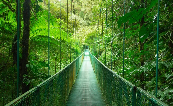 Une Vue Imprenable Sur Pont Suspendu Dans Forêt Nuageuse Monteverde — Photo
