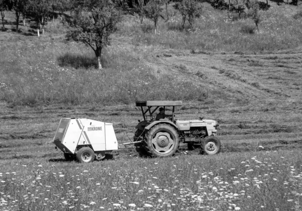 Chibed Roumanie Juil 2020 Tracteur Tracte Une Machine Balles Sur — Photo