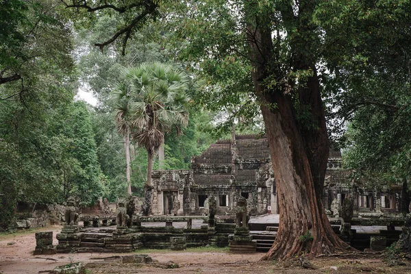 Kamboçya Daki Angkor Wat Kompleksindeki Banteay Kdei Tapınağı Nın Girişi — Stok fotoğraf