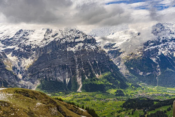 Hermoso Plano Los Alpes Nevados Valle Grindelwald Suiza Día Nublado —  Fotos de Stock