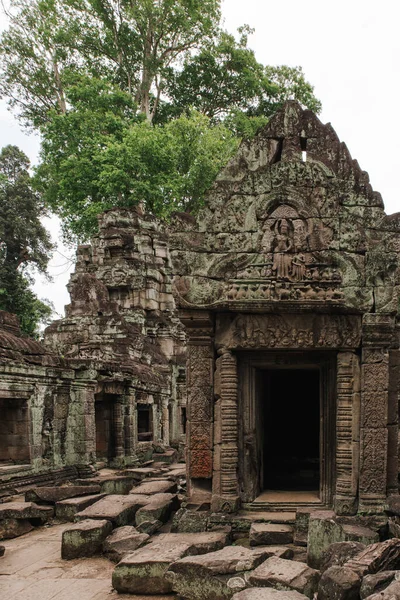 Complejo Templos Angkor Wat Siem Reap Camboya —  Fotos de Stock