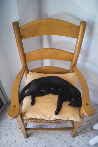 Вертикальний Знімок Чорної Кішки Лежить Дерев Яному Стільці — стокове фото