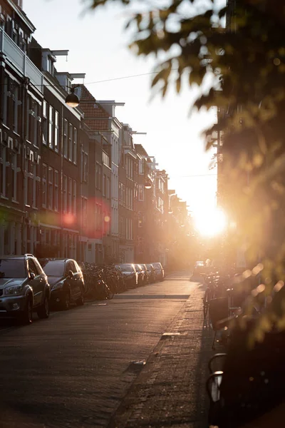 Eine Vertikale Aufnahme Der Sonne Einer Straße Amsterdam Niederlande — Stockfoto