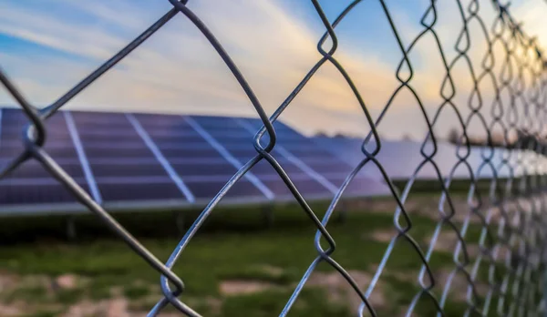 北ヨーロッパの大きな公園での発電用太陽電池モジュール — ストック写真