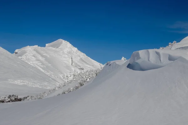 Una Vetta Ricoperta Neve Inverno — Foto Stock