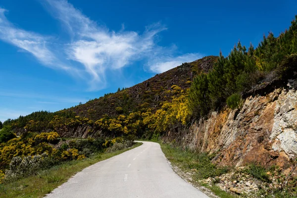 Belo Tiro Estrada Rodeado Rochas Árvores Serra Piodao Portugal — Fotografia de Stock