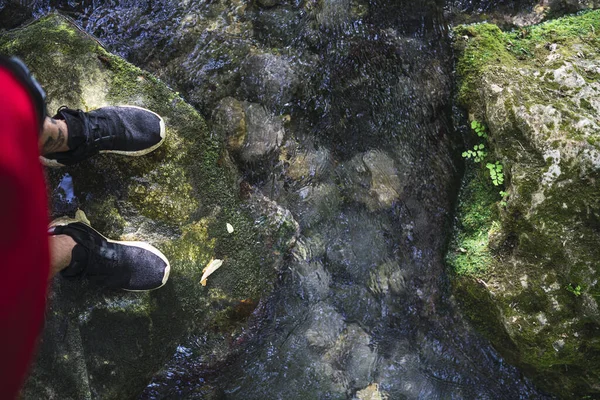 Верхній Вид Молодого Самця Який Відпочиває Біля Річки Меджесіт Кадісі — стокове фото