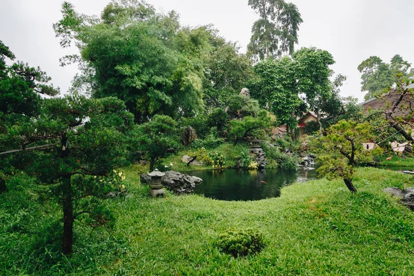 Sebuah Kolam Dengan Banyak Ikan Koi Dan Indah Lanskap Berkebun — Stok Foto