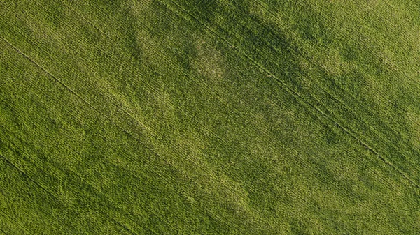 Tiro Close Velho Desgastou Tecido Verde — Fotografia de Stock