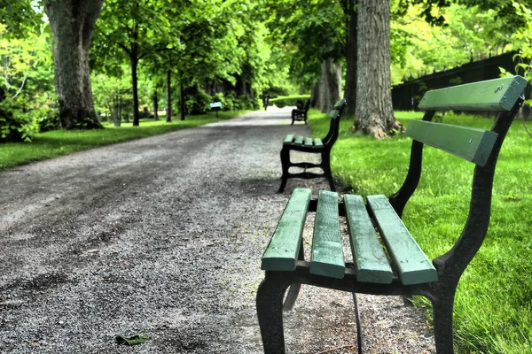 Ein Weicher Schwerpunkt Von Holzbänken Entlang Eines Weges Einem Park — Stockfoto