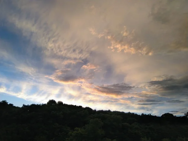 Красивый Снимок Леса Облачным Небом — стоковое фото