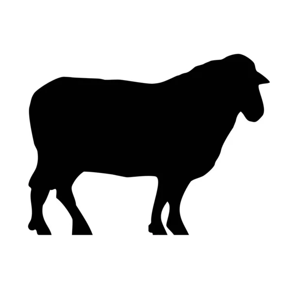 Illustration Une Silhouette Mouton Isolée Sur Fond Blanc — Photo