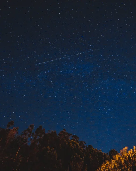 Eine Vertikale Aufnahme Eines Flugzeugversuchs Sternenblauen Himmel Über Den Bäumen — Stockfoto