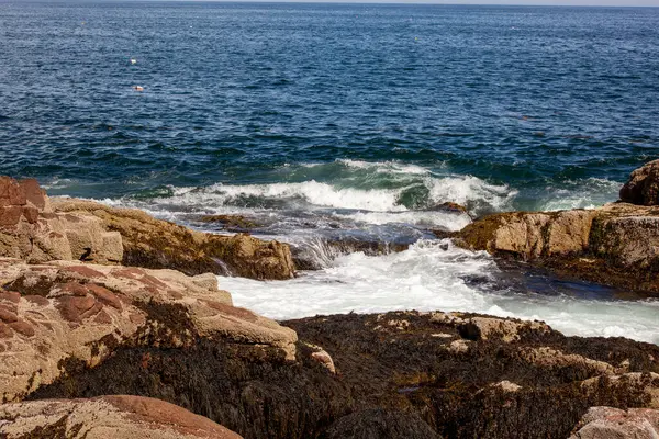 Denizdeki Dalgaların Yosunlu Kayaları Fırçalarkenki Yakın Çekimi — Stok fotoğraf