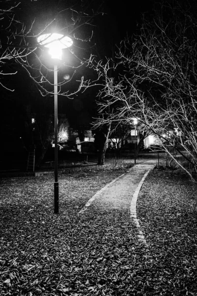 Vertical Grayscale Shot Park Street Lamp Fallen Leaves Autumn — Stock Photo, Image